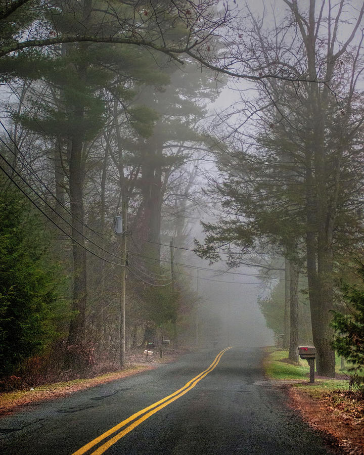 Foggy autumn morning on a country road in Massachetts Photograph by Cordia Murphy