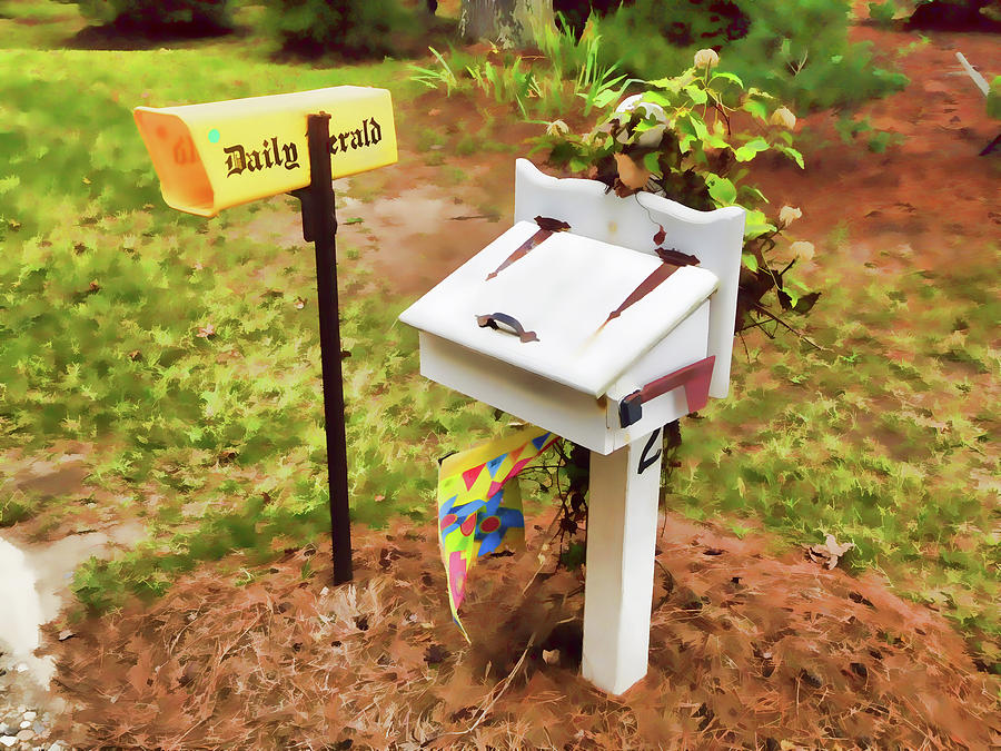 Cube Painting - Mailbox outside a home in a Summer garden by Jeelan Clark