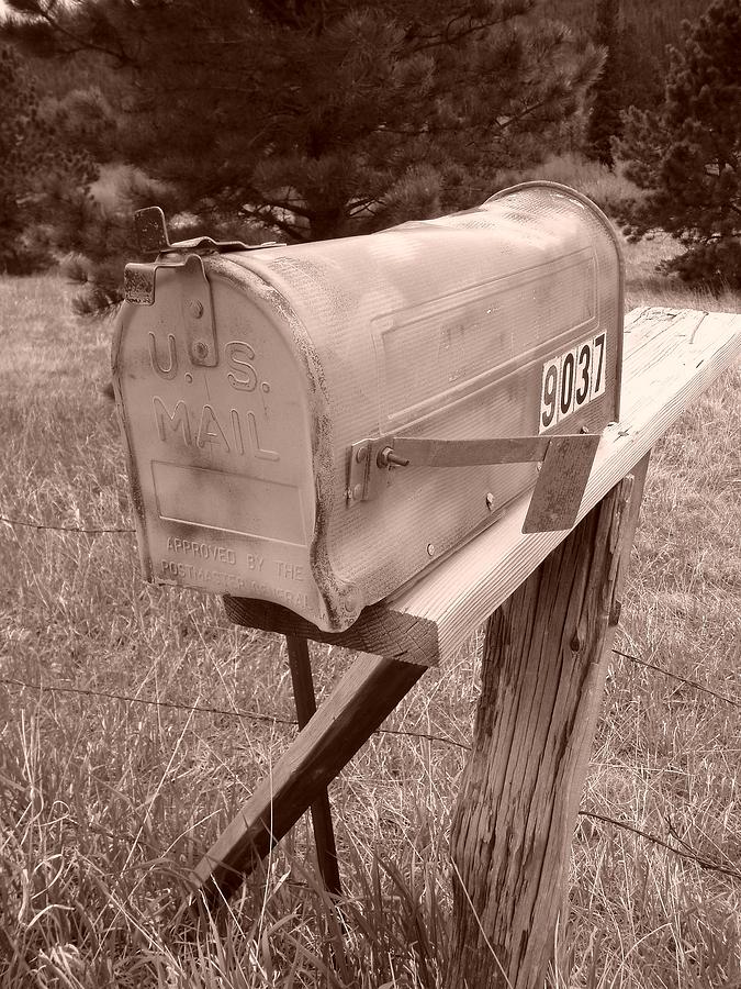 Nature Photograph - Mailbox by Steve  Weihe