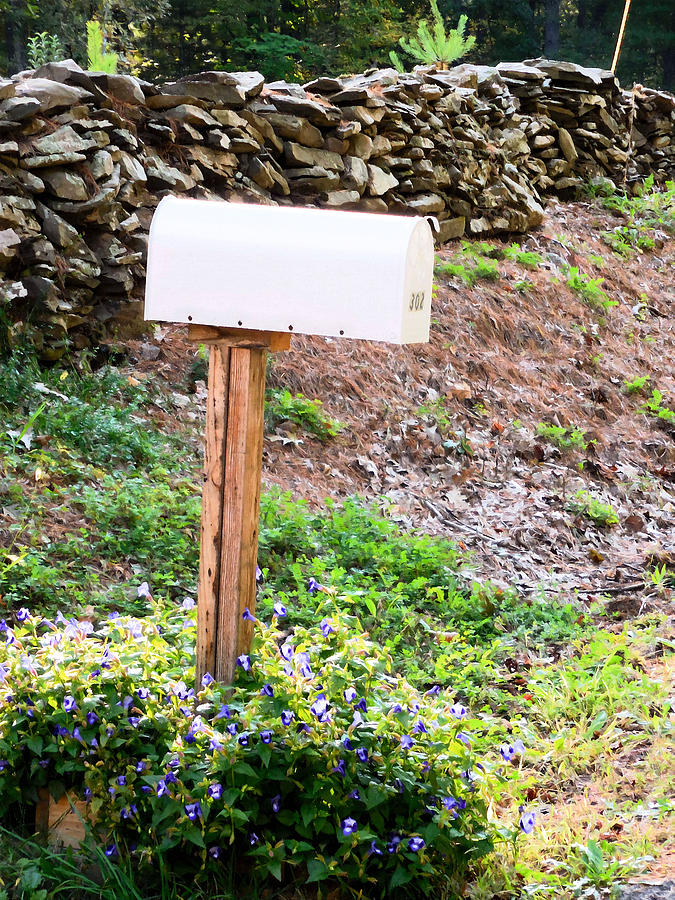 Mailbox with flowers in countryside Painting by Jeelan Clark