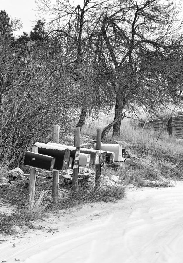 Mailboxes in black and white Photograph by Cathy Anderson