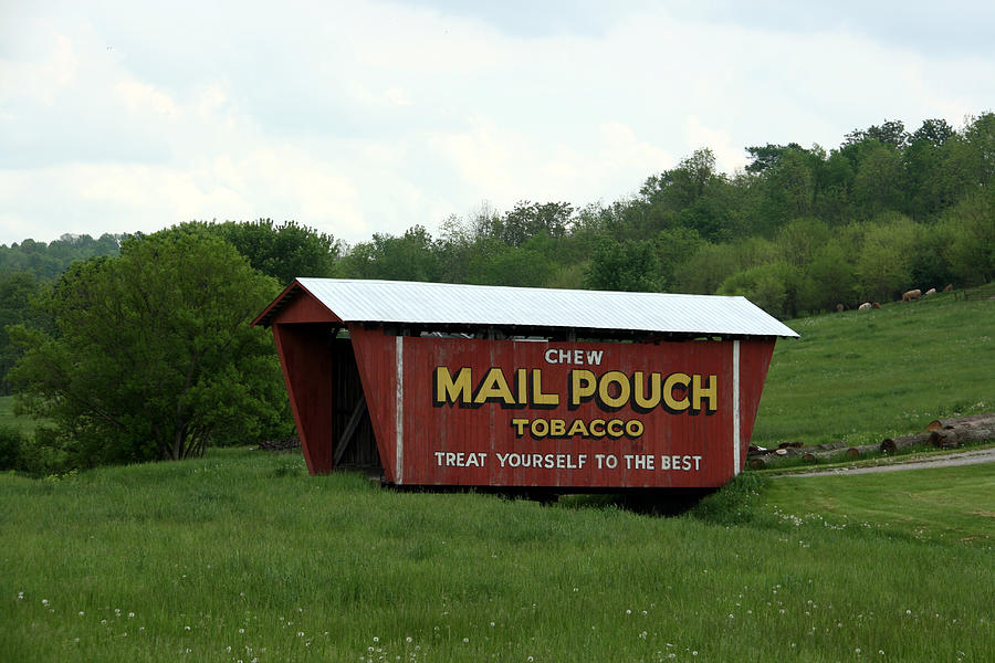 Mailpouch Covered Bridge Photograph by George Jones