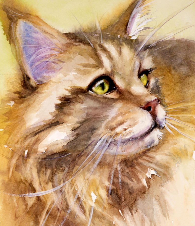 Main Coon Painting by Judith Levins