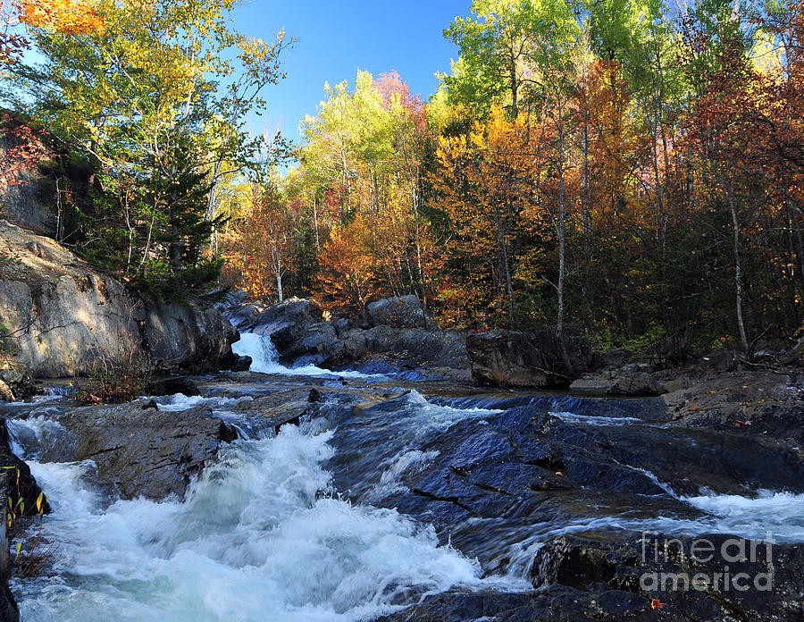Fall Photograph - maine 38 Baxter State Park South Branch Stream by Terri Winkler