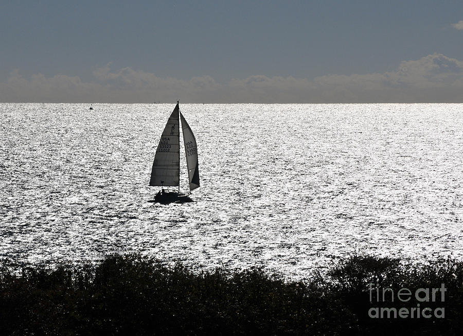 Fall Photograph - maine 44 Sailboat by Terri Winkler