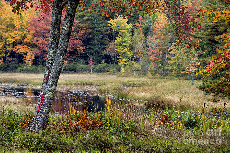 Maine Autumn Photograph