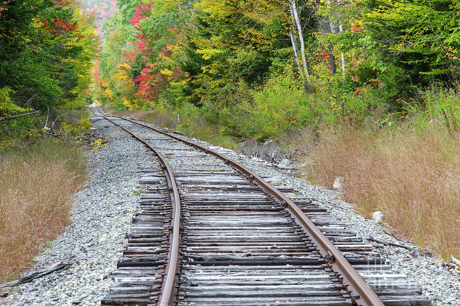 Nature Photograph - Maine Central Railroad - Carroll, New Hampshire by Erin Paul Donovan