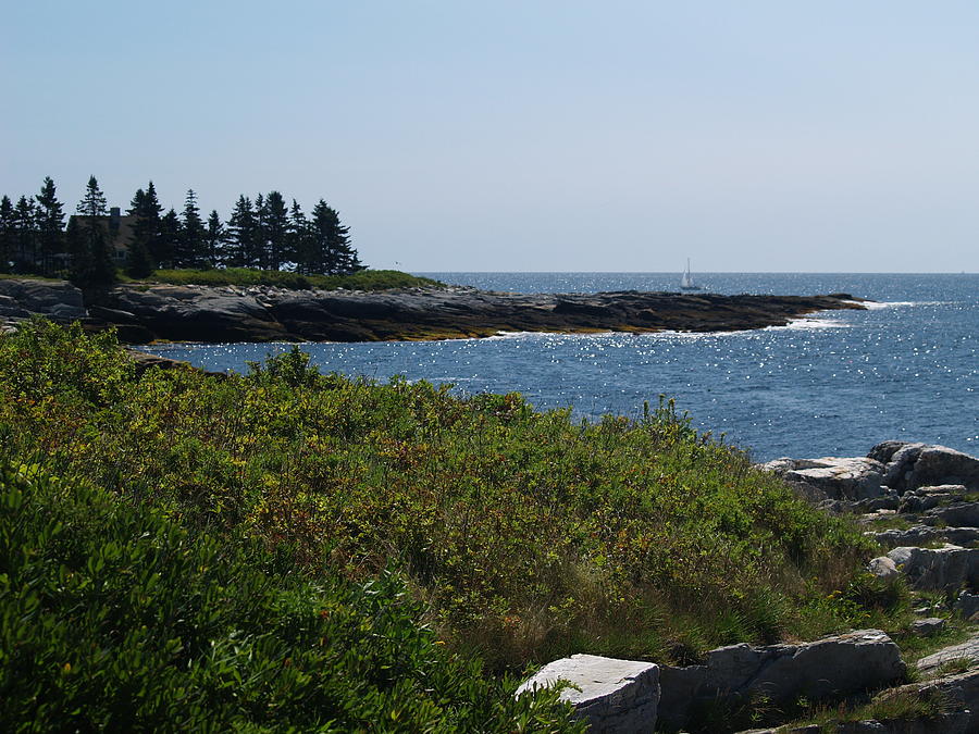 Maine Coast Photograph by Paul Galante