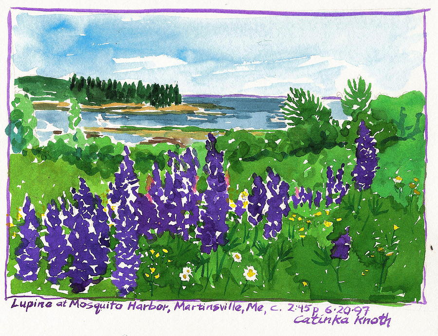Maine Coast Purple Lupine Art Painting by Catinka Knoth