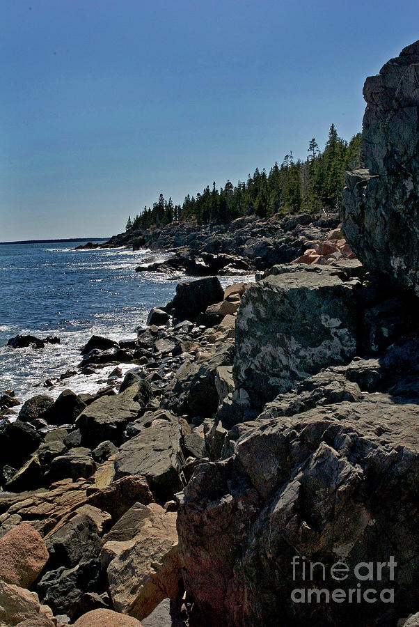 Maine Coast Photograph by Skip Willits