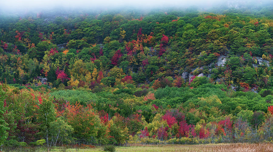 Maine Colors Photograph by Gary Lengyel - Fine Art America