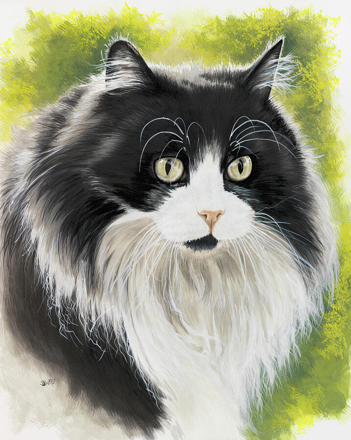 Maine Coon in Watercolor Painting by Barbara Keith