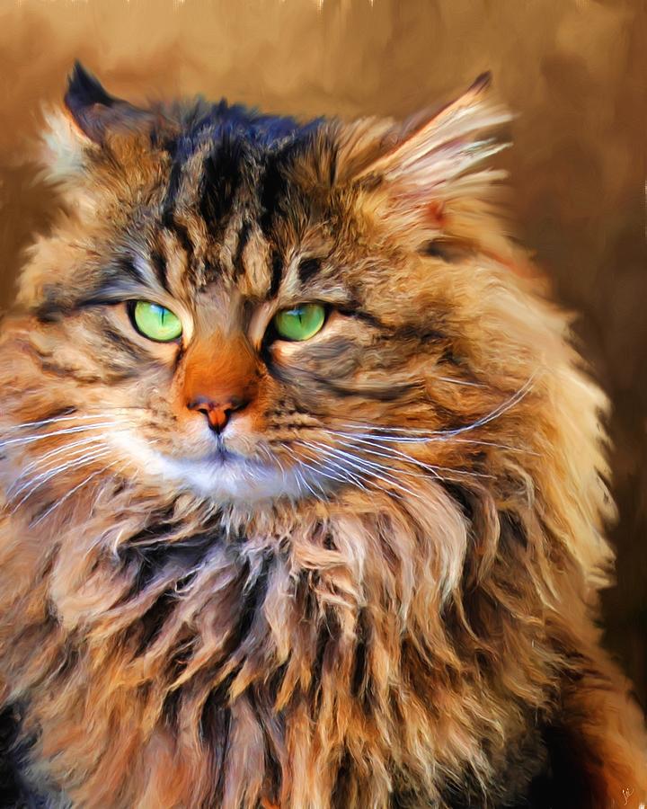 Maine Coon Cat Painting by Jai Johnson
