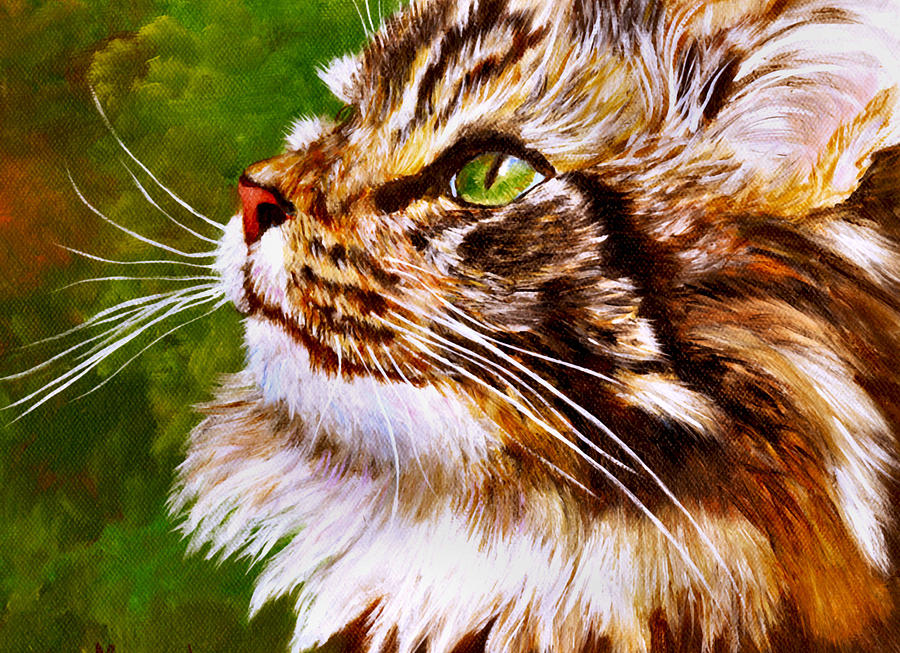 Maine Coon cat Painting by Mary Jo Zorad