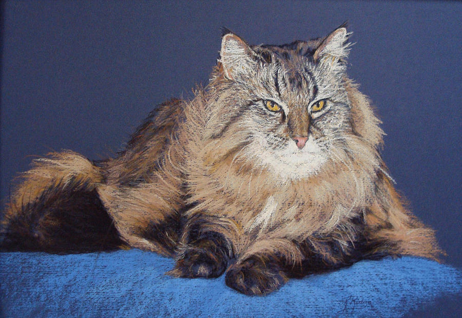 Maine Coon Kitty Painting by Kay Ridge