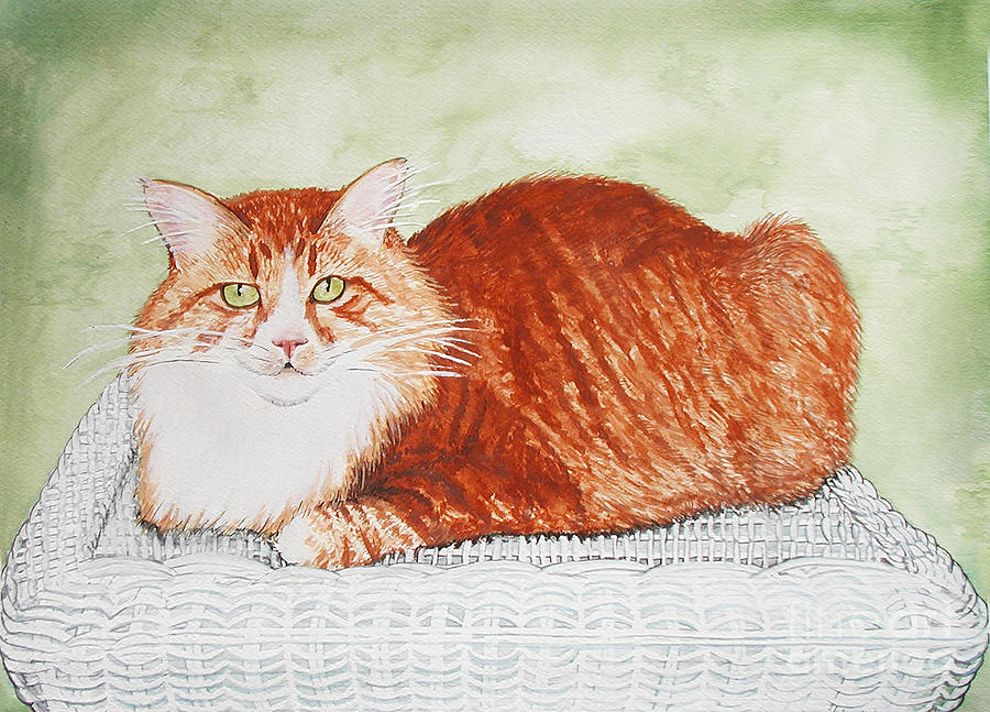 Maine Coon Portrait Painting by Laura Brightwood