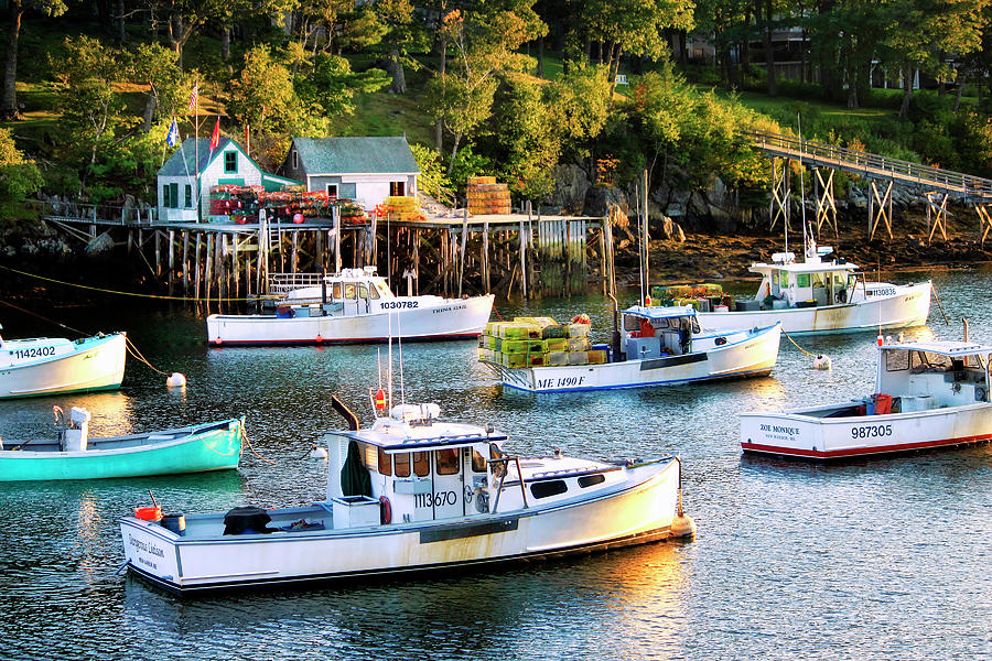 Maine cove at dusk Photograph by Carolyn Derstine