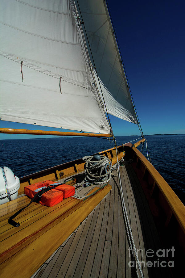 Maine Day Sail Photograph by Steve Brown