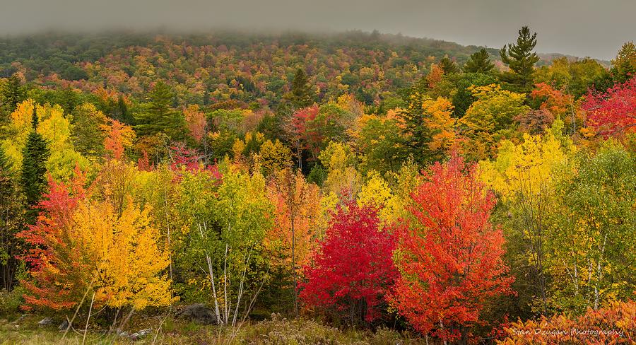 Maine Fall Colors over Acadia Photograph by Stan Dzugan