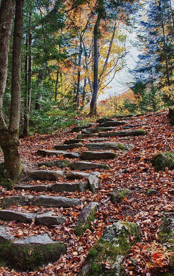 Maine fall foliage Photograph by Jeff Folger