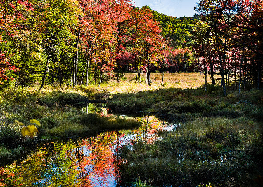 Maine Fall Foliage reflection Photograph by Jeff Folger