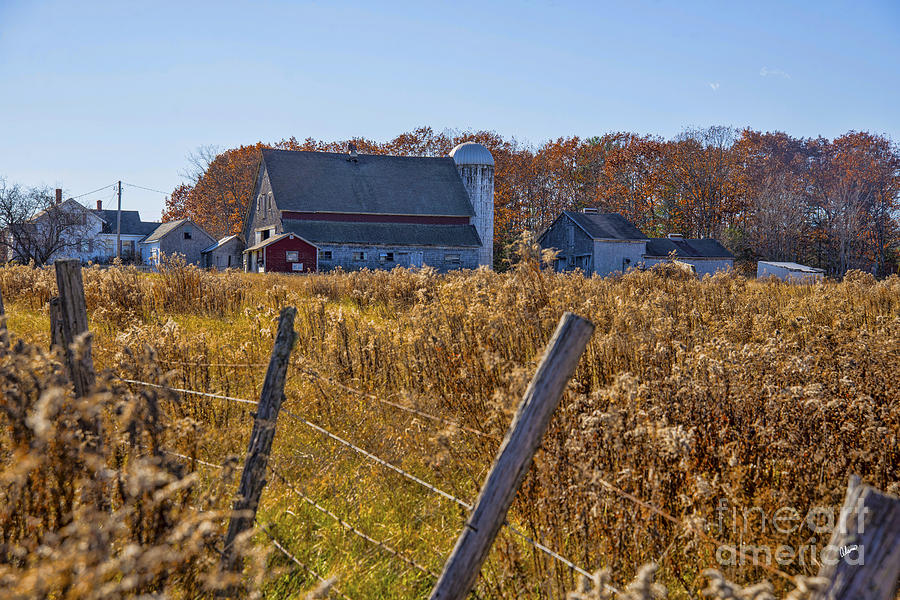 Maine Farm in the Fall Photograph by Alana Ranney