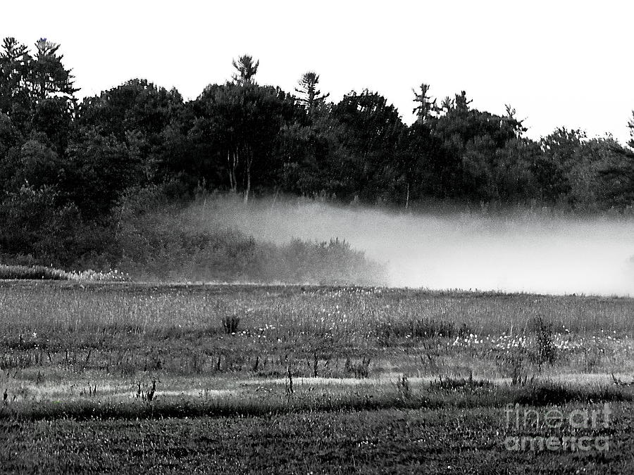 Maine Fog rolls in  Photograph by Priscilla Batzell Expressionist Art Studio Gallery