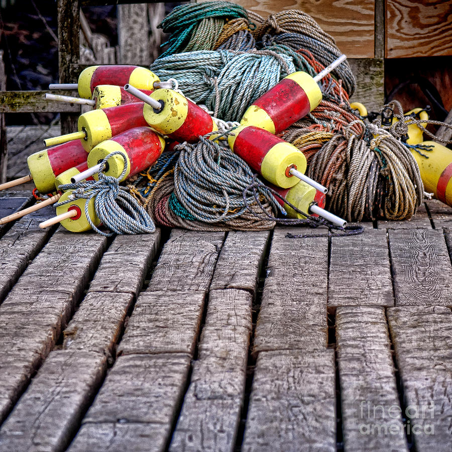 Rope Photograph - Maine Lobsterman Gear by Olivier Le Queinec