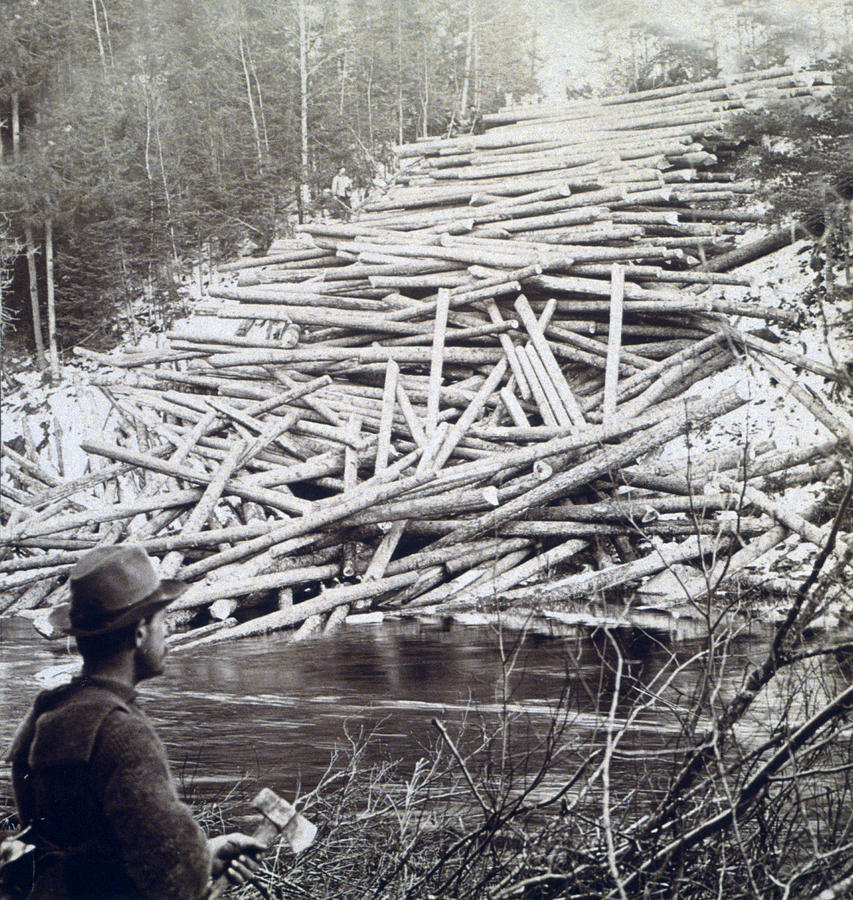 Vintage Photograph - Maine Logging -  c 1903 by International  Images