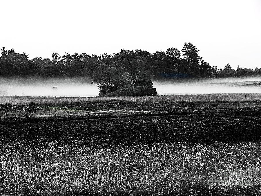 Maine Mist  Photograph by Priscilla Batzell Expressionist Art Studio Gallery