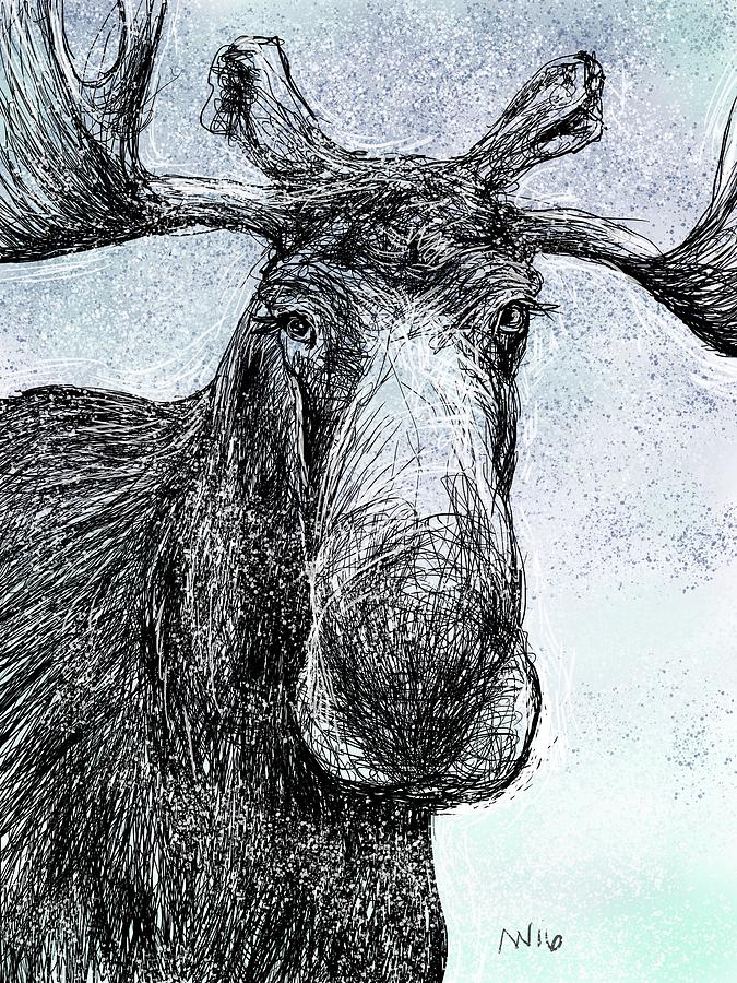 Maine Moose Digital Art by AnneMarie Welsh