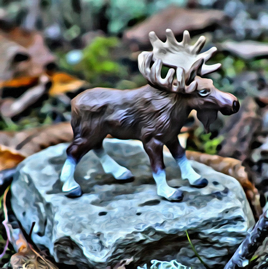 Maine Moose Photograph
