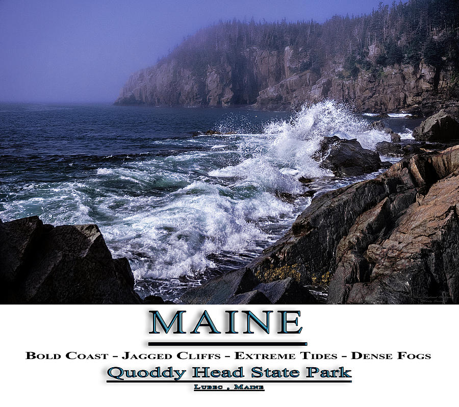 MAINE Quoddy Head State Park Photograph by Marty Saccone