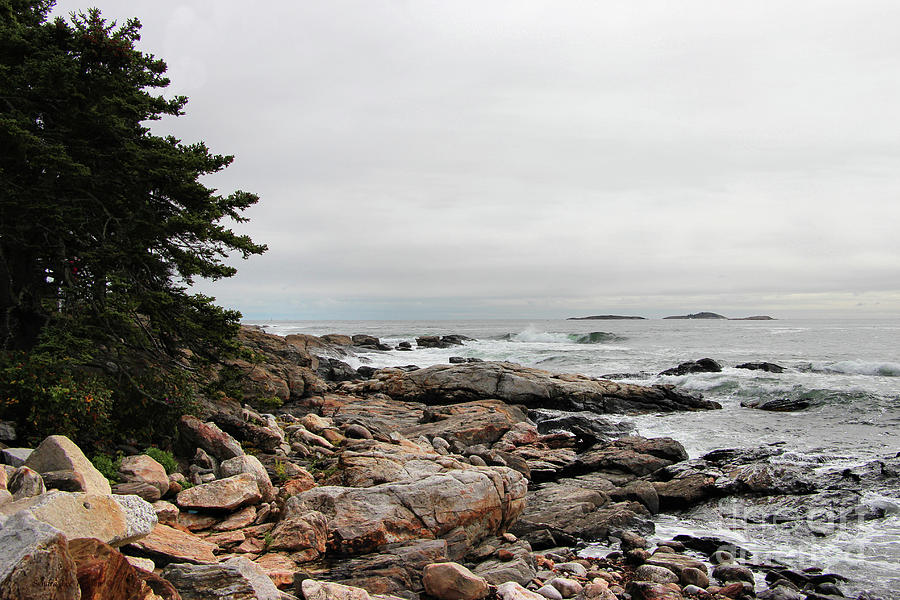 Maine Rocky Coast Photograph by Sandra Huston