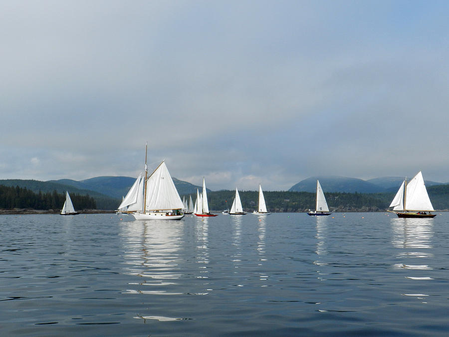 Maine Sailing Photograph by Deborah Ferree