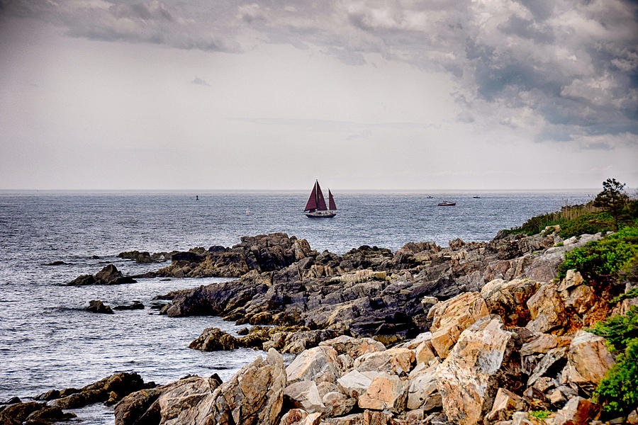Maine Sailing Photograph by Tricia Marchlik