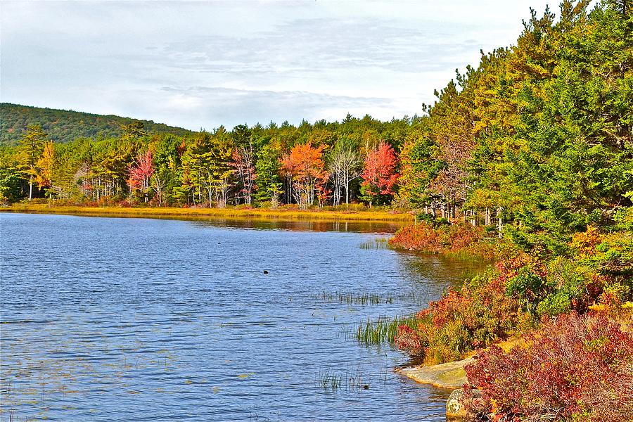 Acadia National Park Maine Scenery Photograph by Danielle Sigmon - Fine ...