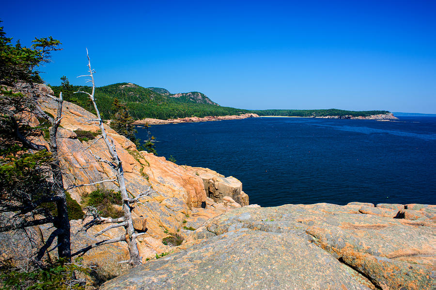 Maine Shoreline and Atlantic Ocean Photograph by Douglas Barnett - Fine ...