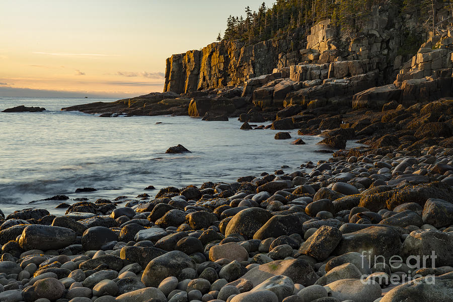 Acadia National Park Photograph - Maine Shoreline Otter Cliffs by Bob Phillips