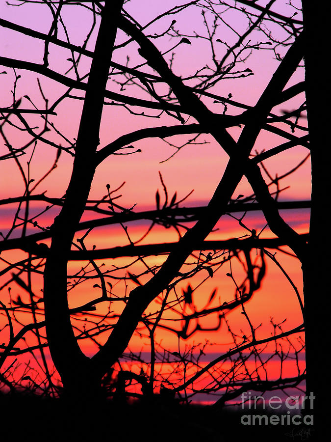 Maine Spring sunset Photograph by Priscilla Batzell Expressionist Art Studio Gallery
