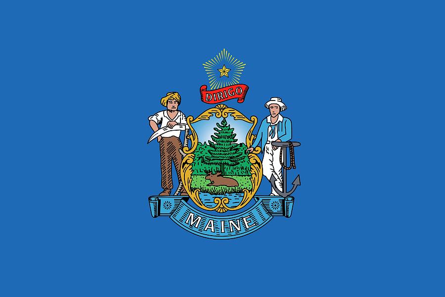 Maine state flag Painting by American School