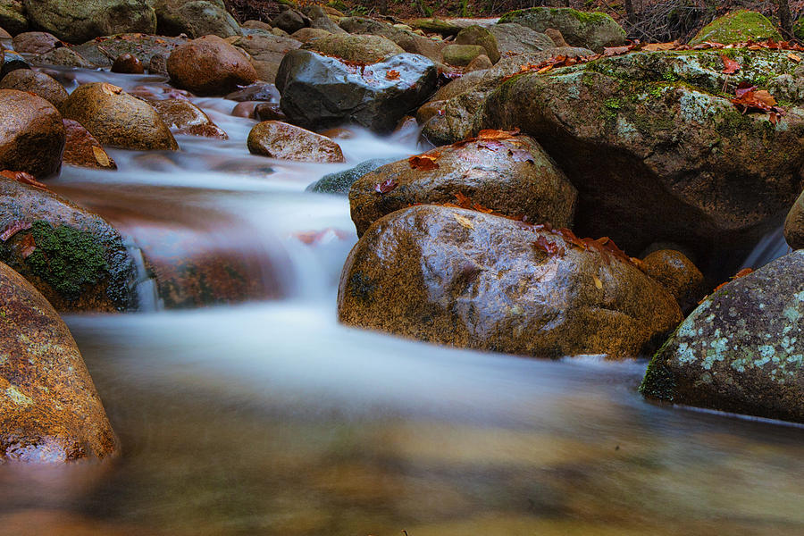 Rocks Photograph - Maine stream by Angela Tice Gunn