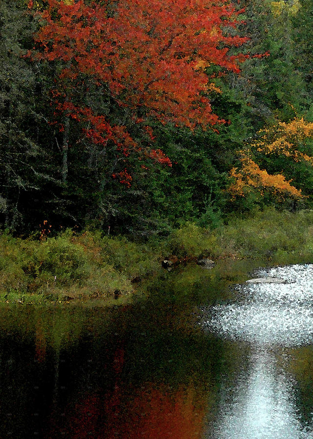 Maine Stream in the Fall Photograph by Robert Suggs
