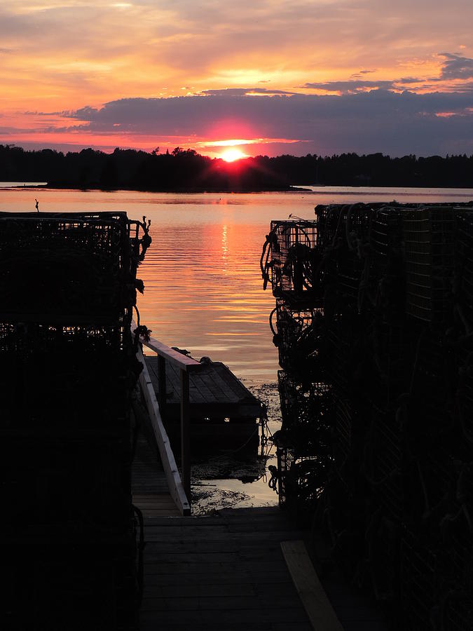 Maine Sunset and Traps Photograph by Bill Tomsa