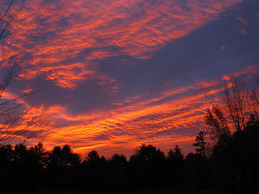 Maine Sunset Photograph by Bill Tomsa