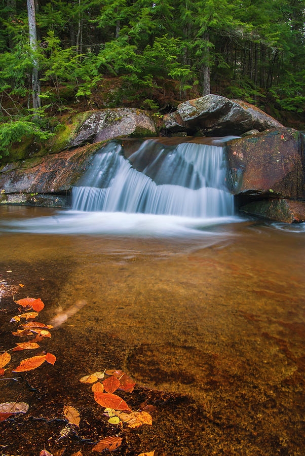 Maine Upper Screw Auger Falls and Fall Foliage Photograph by Ranjay Mitra