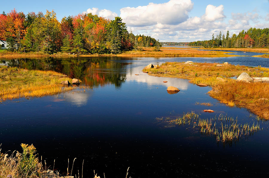 Maine Waterway Photograph by Betty LaRue