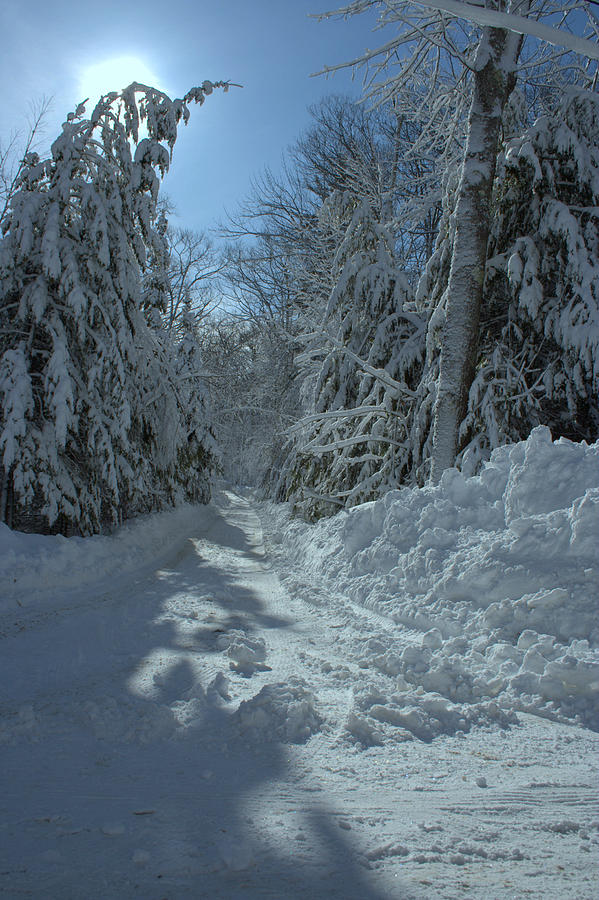 Maine Winter Photograph by Doug Mills