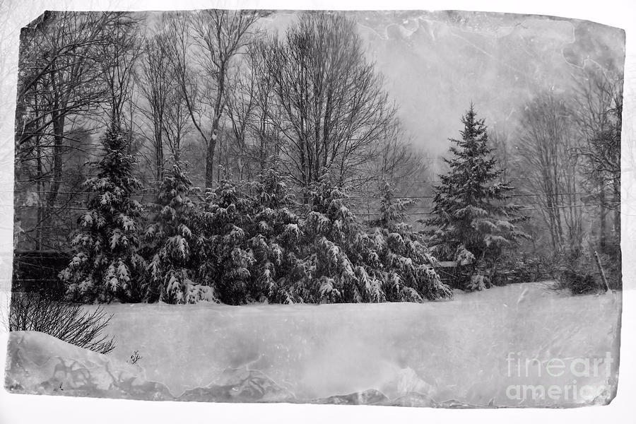 Winter Photograph - Maine Winter Tin Type by Elizabeth Dow