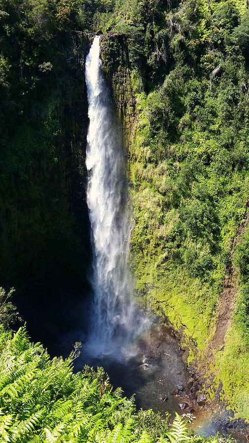 Majestic Akaka Falls Photograph by Pamela Walton